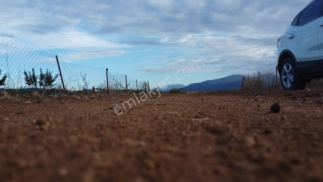 Korkuteli Bayat Mahallesi 11.200 M² Satılık Bahçe — fotoğraf 9