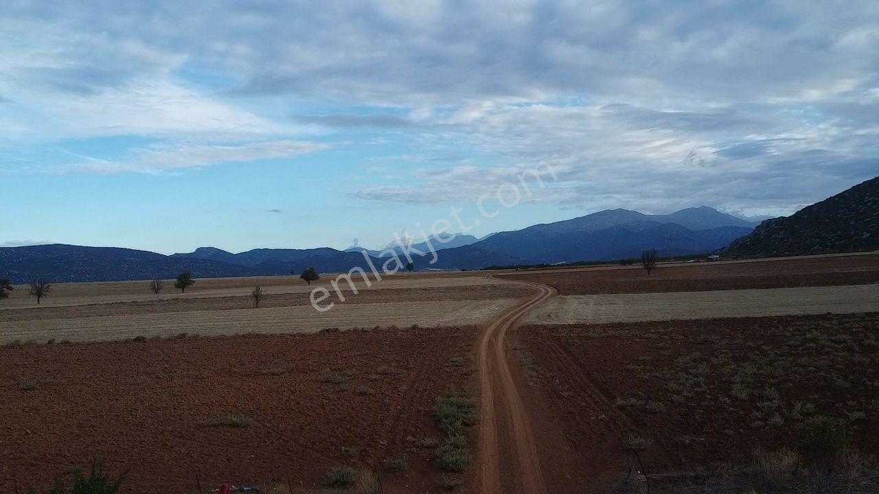 Korkuteli Bayat Mahallesi 11.200 M² Satılık Bahçe — fotoğraf 10
