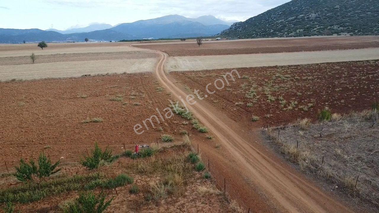 Korkuteli Bayat Mahallesi 11.200 M² Satılık Bahçe — fotoğraf 11