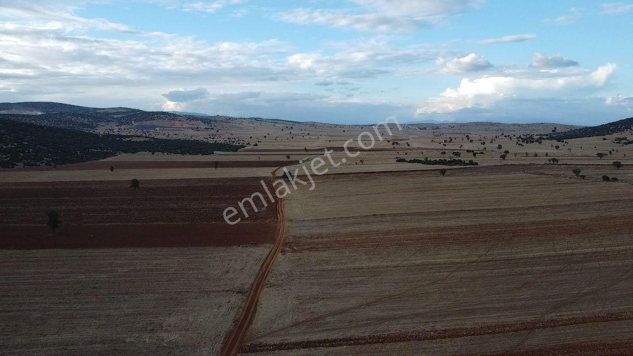 Korkuteli Bayat Mahallesi 11.200 M² Satılık Bahçe — fotoğraf 13