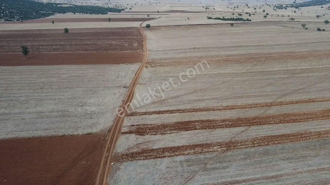 Korkuteli Bayat Mahallesi 11.200 M² Satılık Bahçe — fotoğraf 14