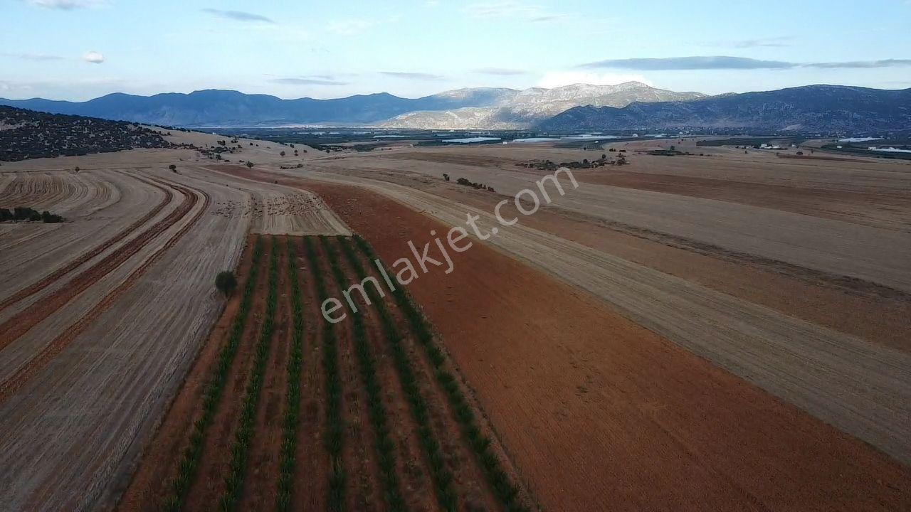 Korkuteli Bayat Mahallesi 11.200 M² Satılık Bahçe — fotoğraf 15