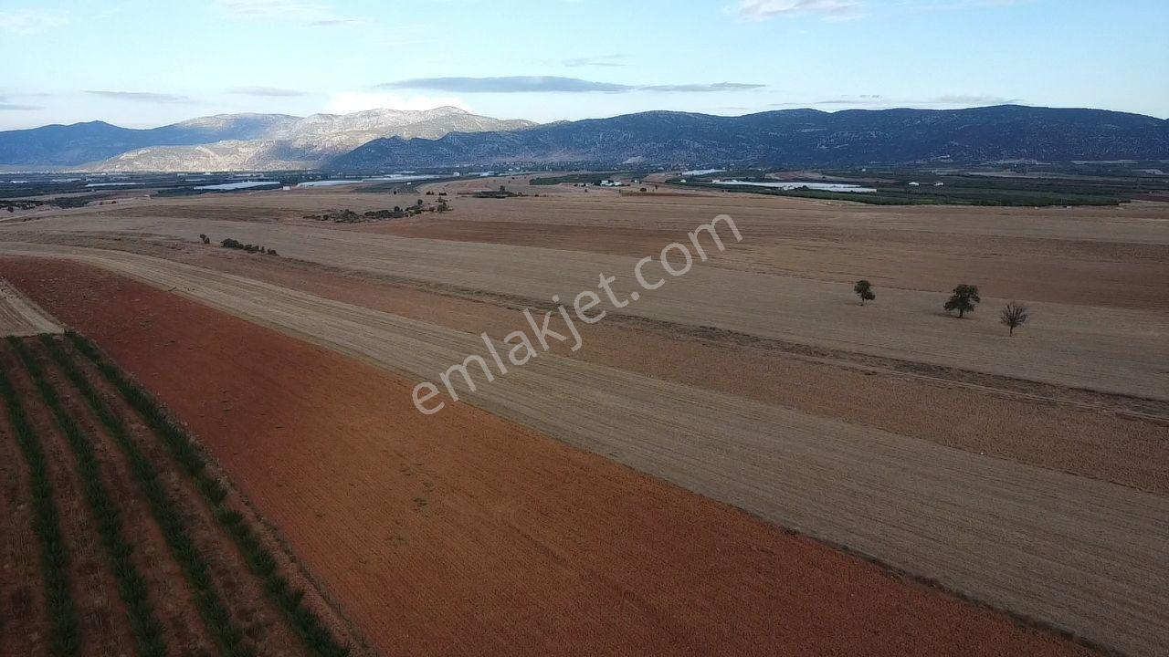 Korkuteli Bayat Mahallesi 11.200 M² Satılık Bahçe — fotoğraf 16