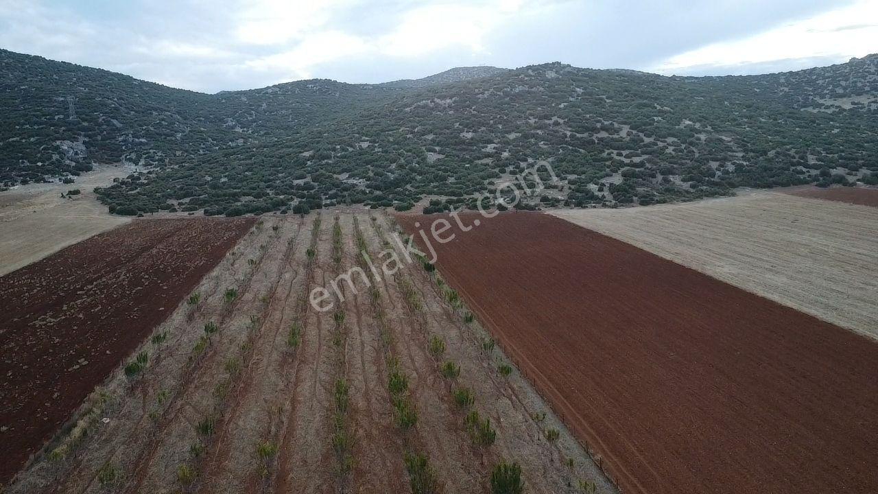 Korkuteli Bayat Mahallesi 11.200 M² Satılık Bahçe — fotoğraf 17