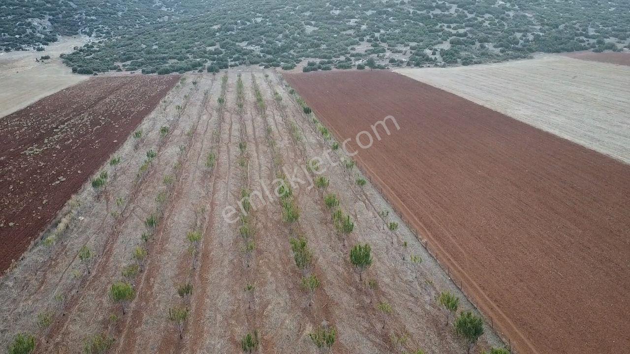 Korkuteli Bayat Mahallesi 11.200 M² Satılık Bahçe — fotoğraf 18