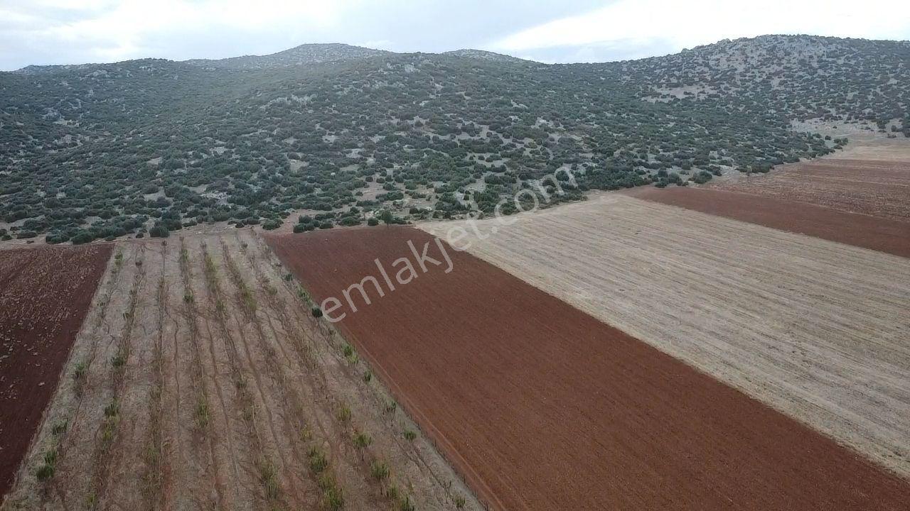 Korkuteli Bayat Mahallesi 11.200 M² Satılık Bahçe — fotoğraf 19