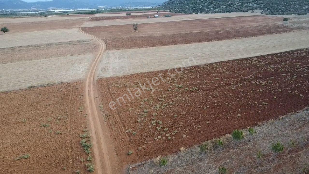 Korkuteli Bayat Mahallesi 11.200 M² Satılık Bahçe — fotoğraf 21