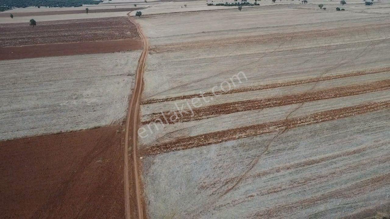 Korkuteli Bayat Mahallesi 11.200 M² Satılık Bahçe — fotoğraf 22
