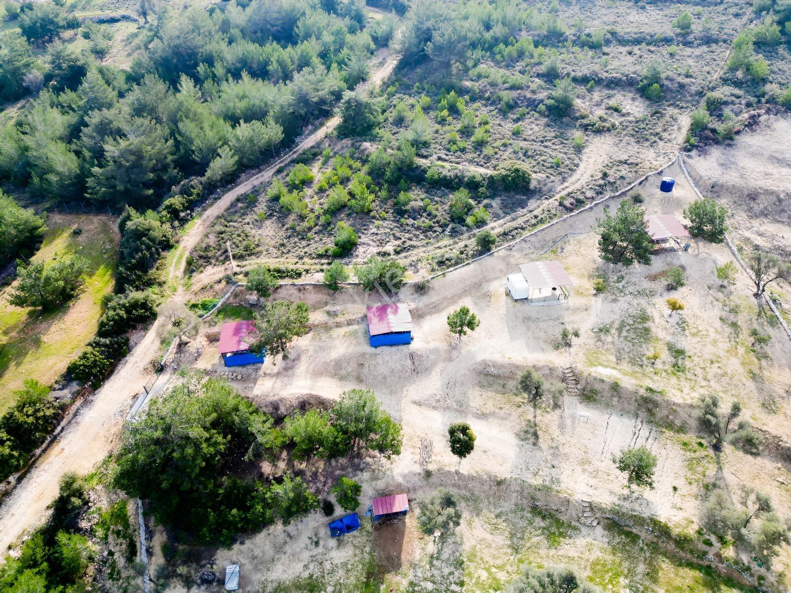 Eko Emlaktan İzmir Karaburunda Çiftlik Yapımına Uygun Arazi — fotoğraf 4