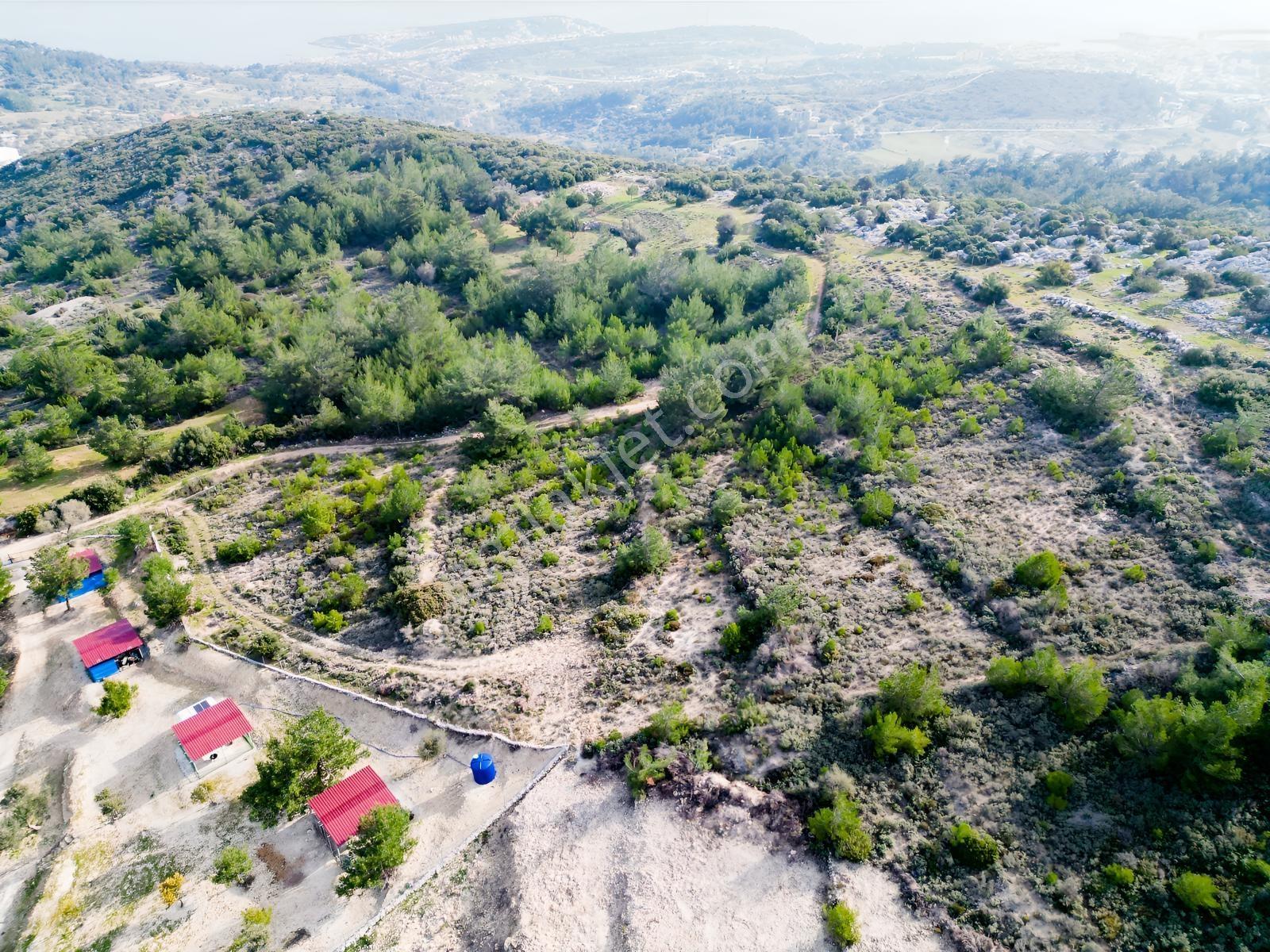 Eko Emlaktan İzmir Karaburunda Çiftlik Yapımına Uygun Arazi — fotoğraf 5