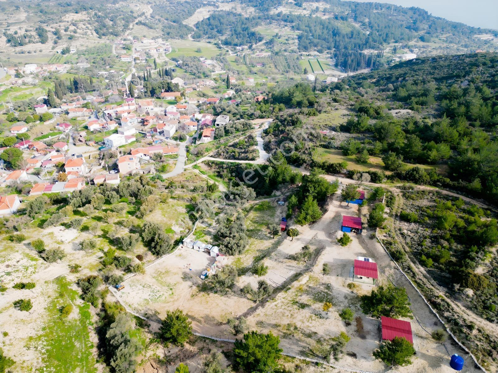 Eko Emlaktan İzmir Karaburunda Çiftlik Yapımına Uygun Arazi — fotoğraf 6