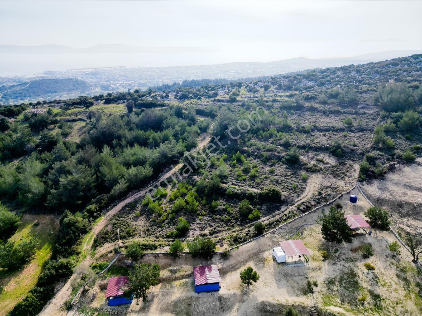Eko Emlaktan İzmir Karaburunda Çiftlik Yapımına Uygun Arazi — fotoğraf 9