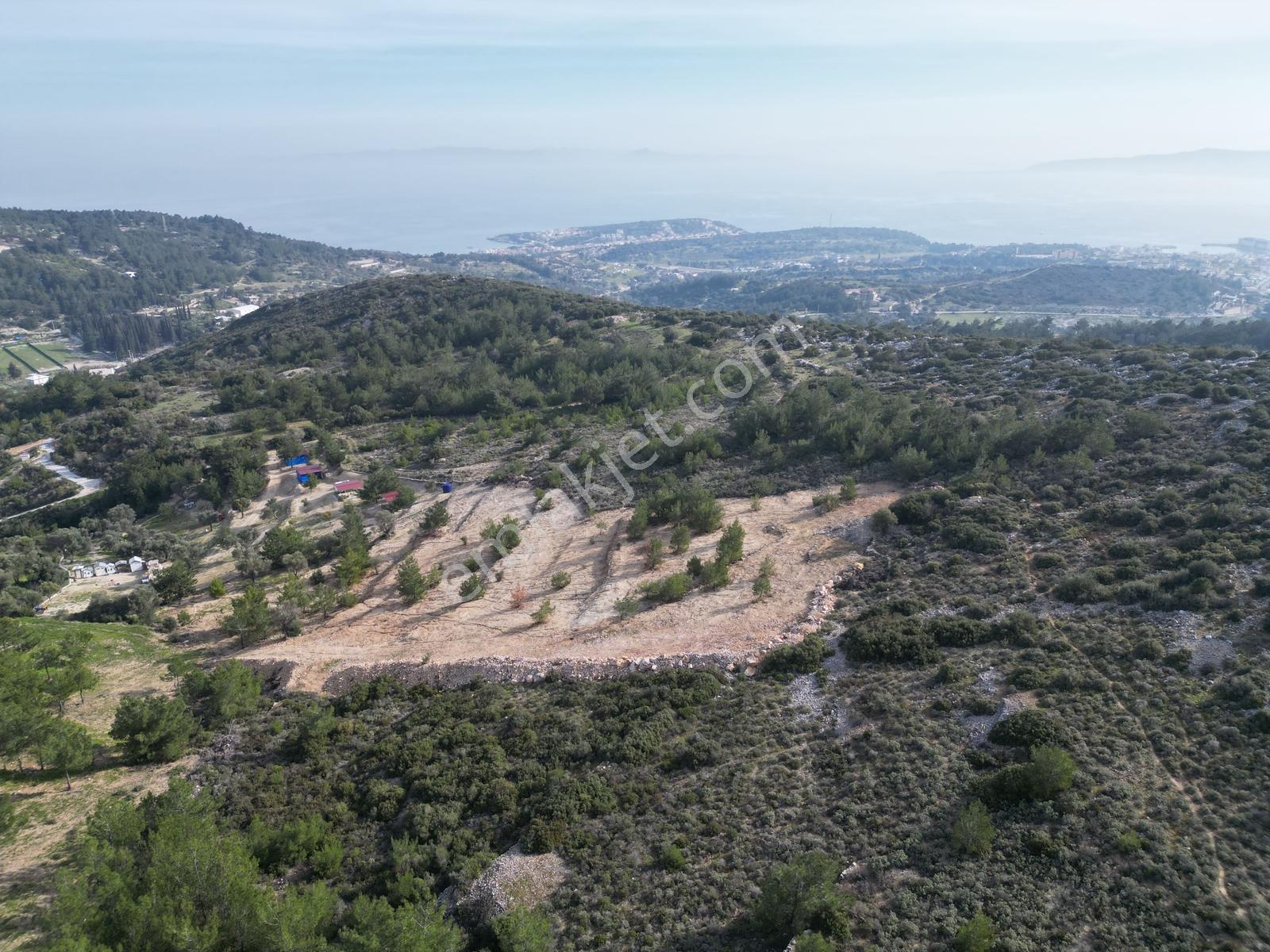 Eko Emlaktan İzmir Karaburunda Çiftlik Yapımına Uygun Arazi — fotoğraf 10
