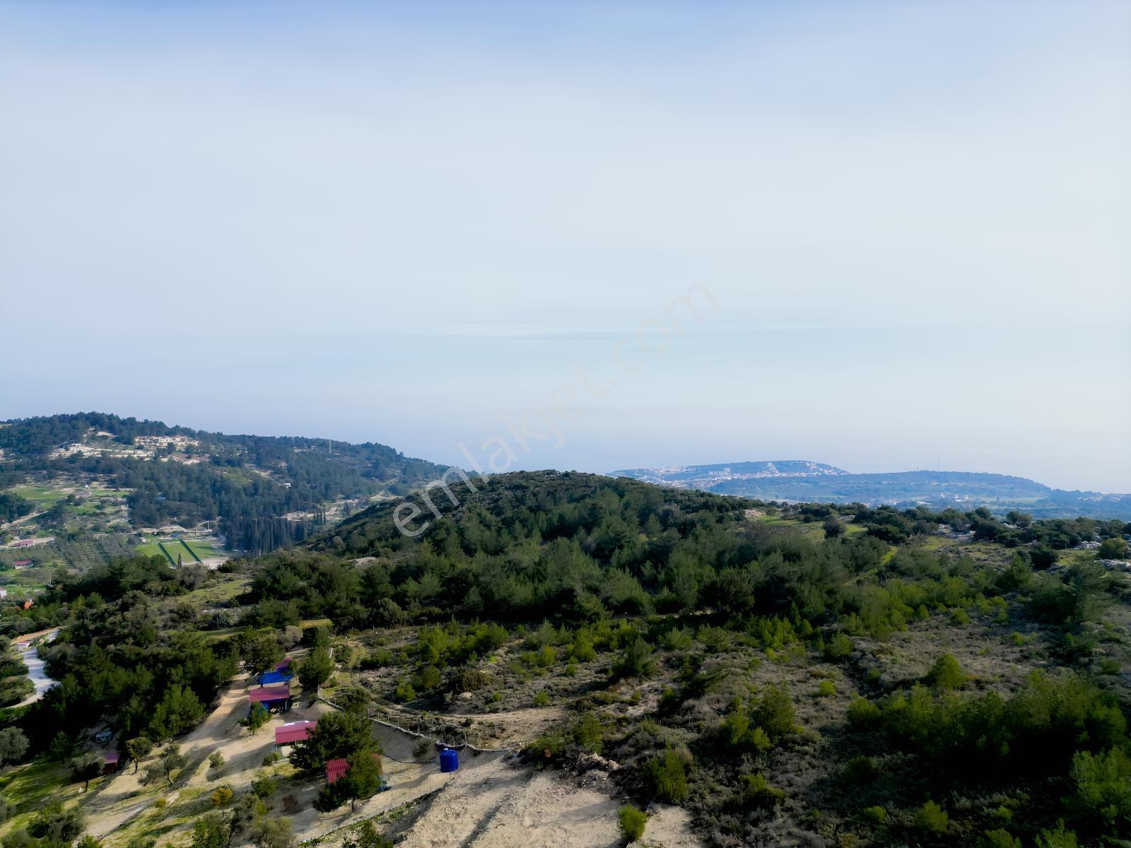 Eko Emlaktan İzmir Karaburunda Çiftlik Yapımına Uygun Arazi — fotoğraf 11