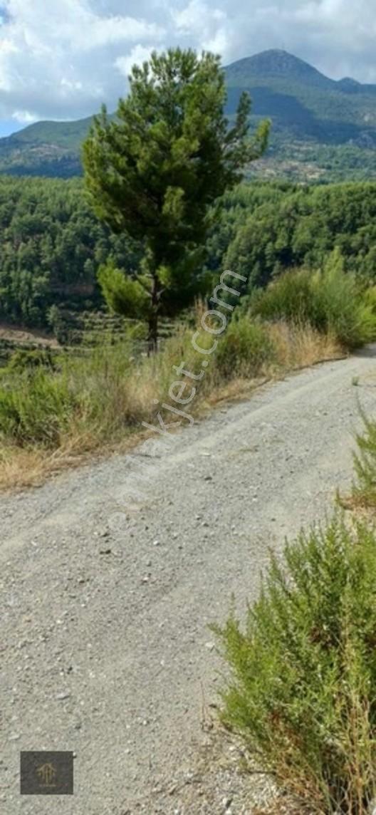 Sugözü Mh. 800 M2 Tarla — fotoğraf 3