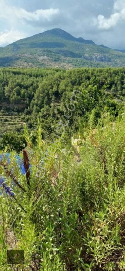 Sugözü Mh. 800 M2 Tarla — fotoğraf 4