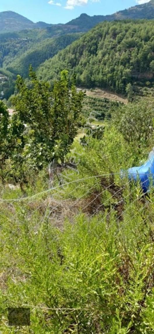 Sugözü Mh. 800 M2 Tarla — fotoğraf 5