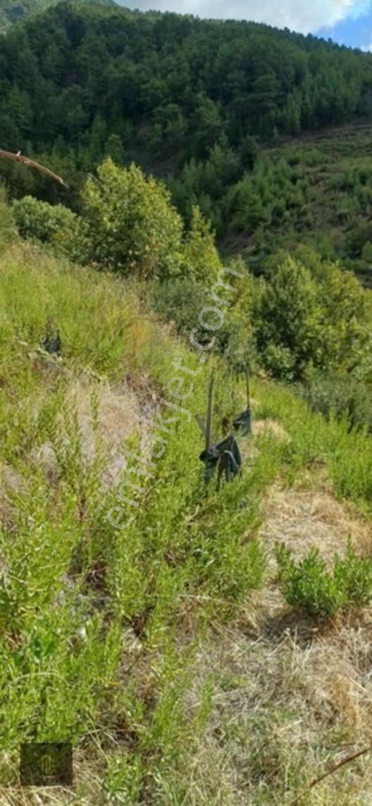 Sugözü Mh. 800 M2 Tarla — fotoğraf 6