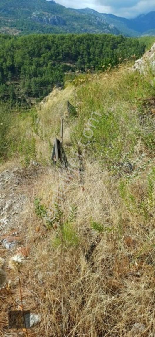 Sugözü Mh. 800 M2 Tarla — fotoğraf 7