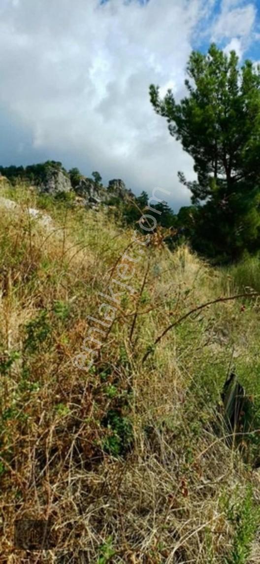 Sugözü Mh. 800 M2 Tarla — fotoğraf 8