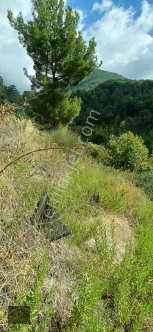 Sugözü Mh. 800 M2 Tarla — fotoğraf 9
