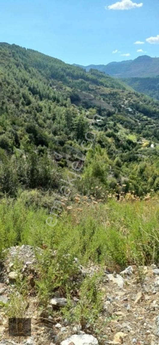 Sugözü Mh. 800 M2 Tarla — fotoğraf 10