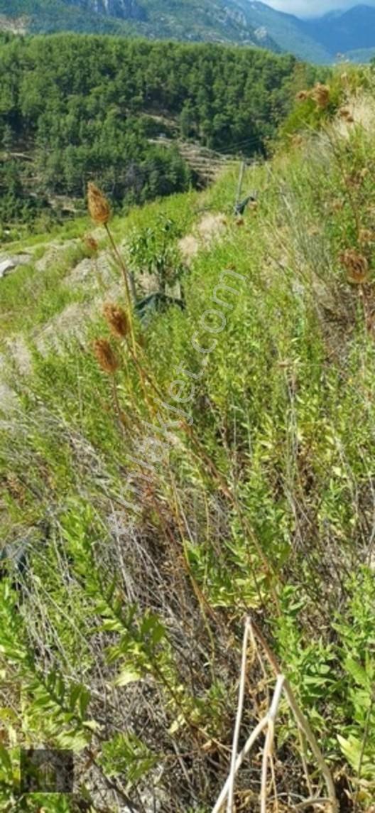 Sugözü Mh. 800 M2 Tarla — fotoğraf 11