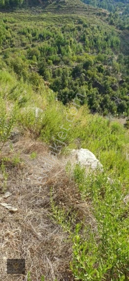 Sugözü Mh. 800 M2 Tarla — fotoğraf 13