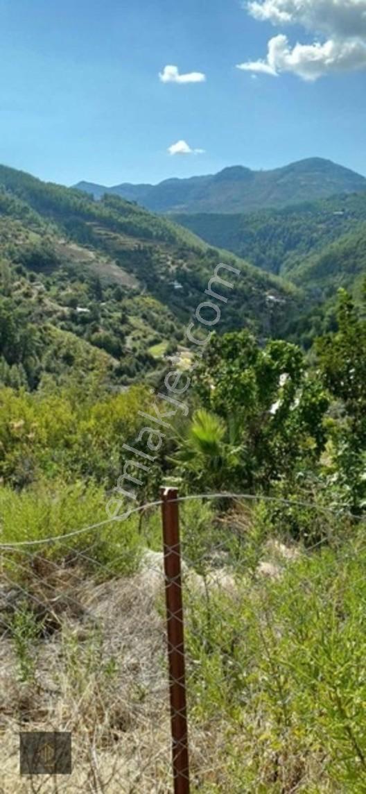 Sugözü Mh. 800 M2 Tarla — fotoğraf 14