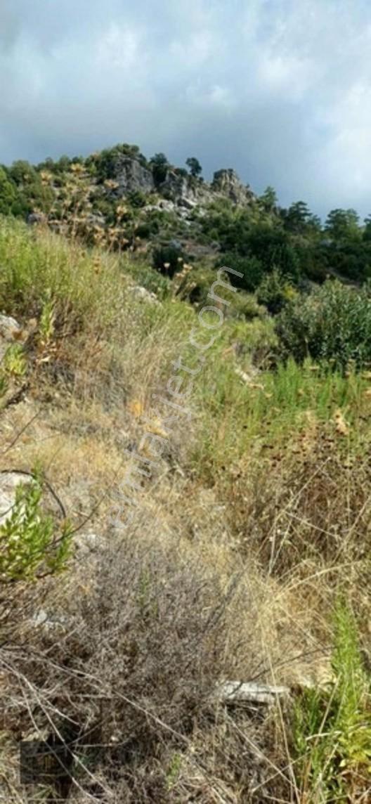 Sugözü Mh. 800 M2 Tarla — fotoğraf 15
