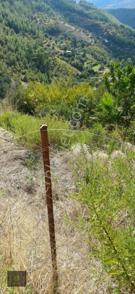 Sugözü Mh. 800 M2 Tarla — fotoğraf 16