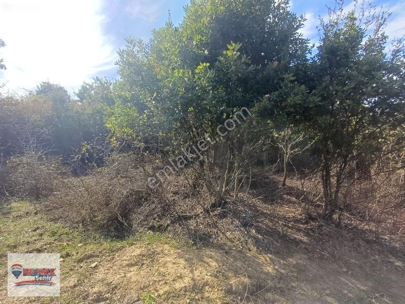 Remax Şehirden Akköyde Gelişim Konut Alanında Satılık Tarla — fotoğraf 15