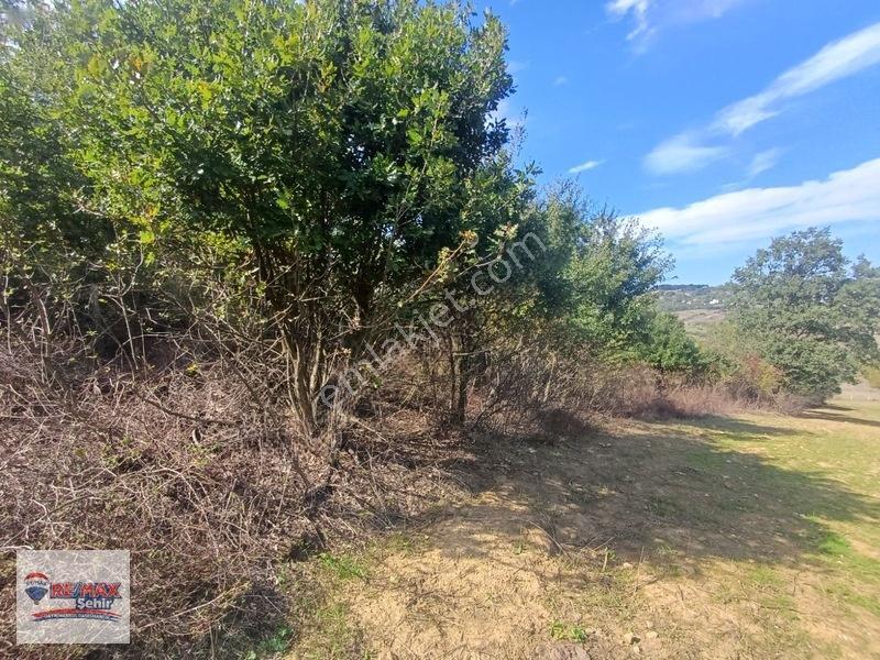 Remax Şehirden Akköyde Gelişim Konut Alanında Satılık Tarla — fotoğraf 17
