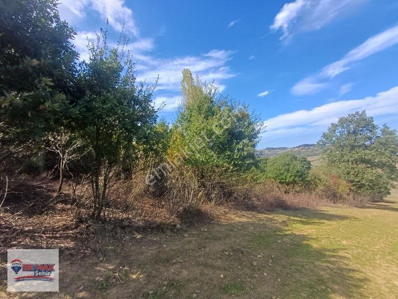 Remax Şehirden Akköyde Gelişim Konut Alanında Satılık Tarla — fotoğraf 18
