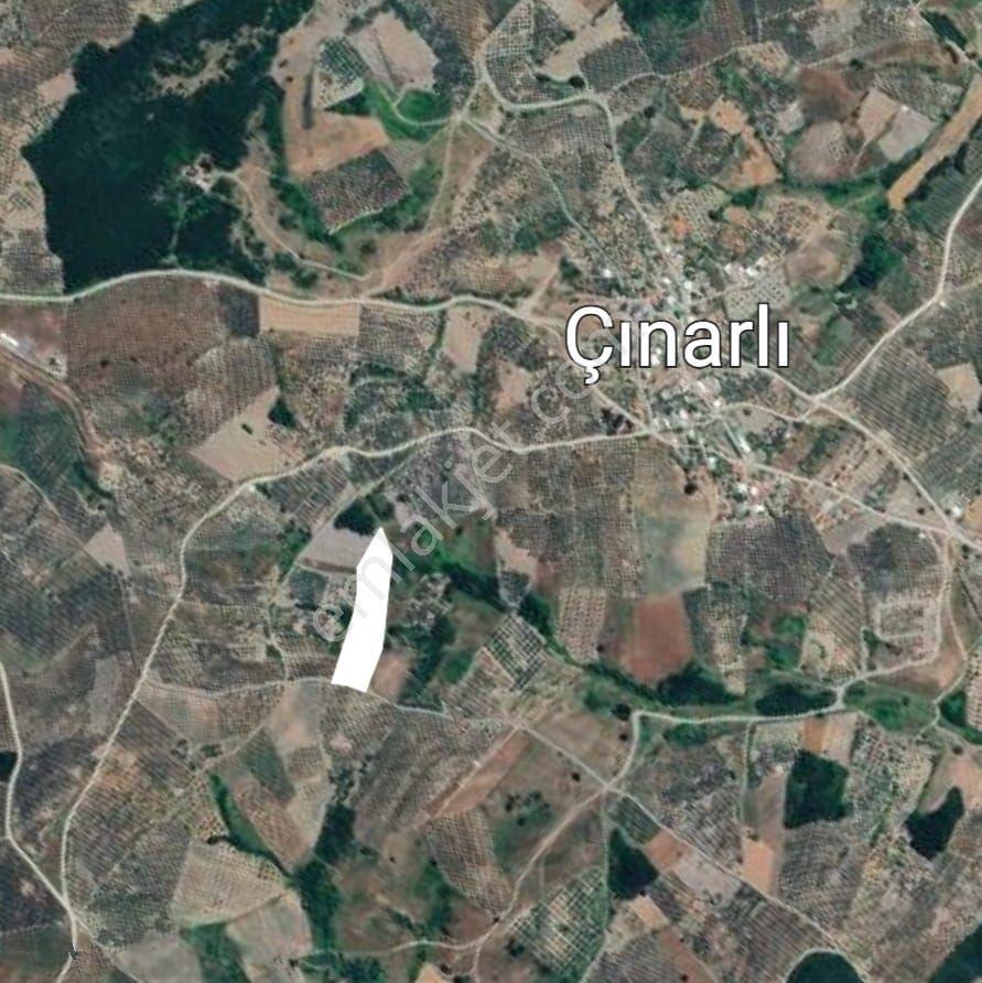 Src Emlaktan Bursa Mudanya Çınarlı Da Kurulu Düzen 200 M2 Hobi Bahçesi — fotoğraf 4