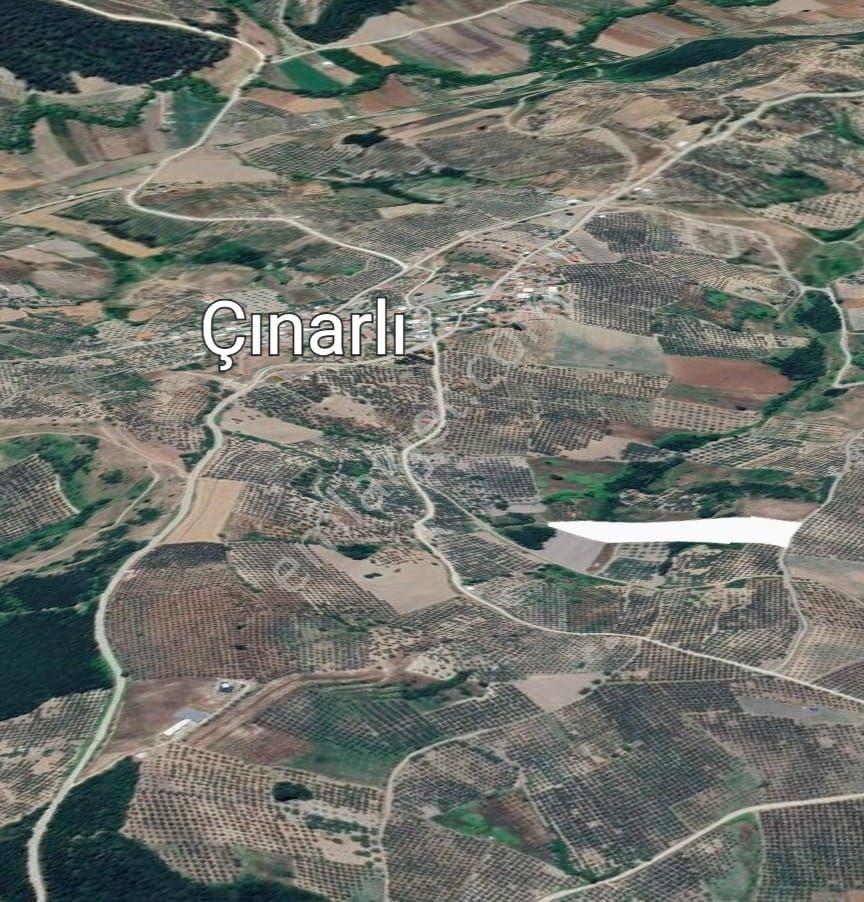 Src Emlaktan Bursa Mudanya Çınarlı Da Kurulu Düzen 200 M2 Hobi Bahçesi — fotoğraf 5