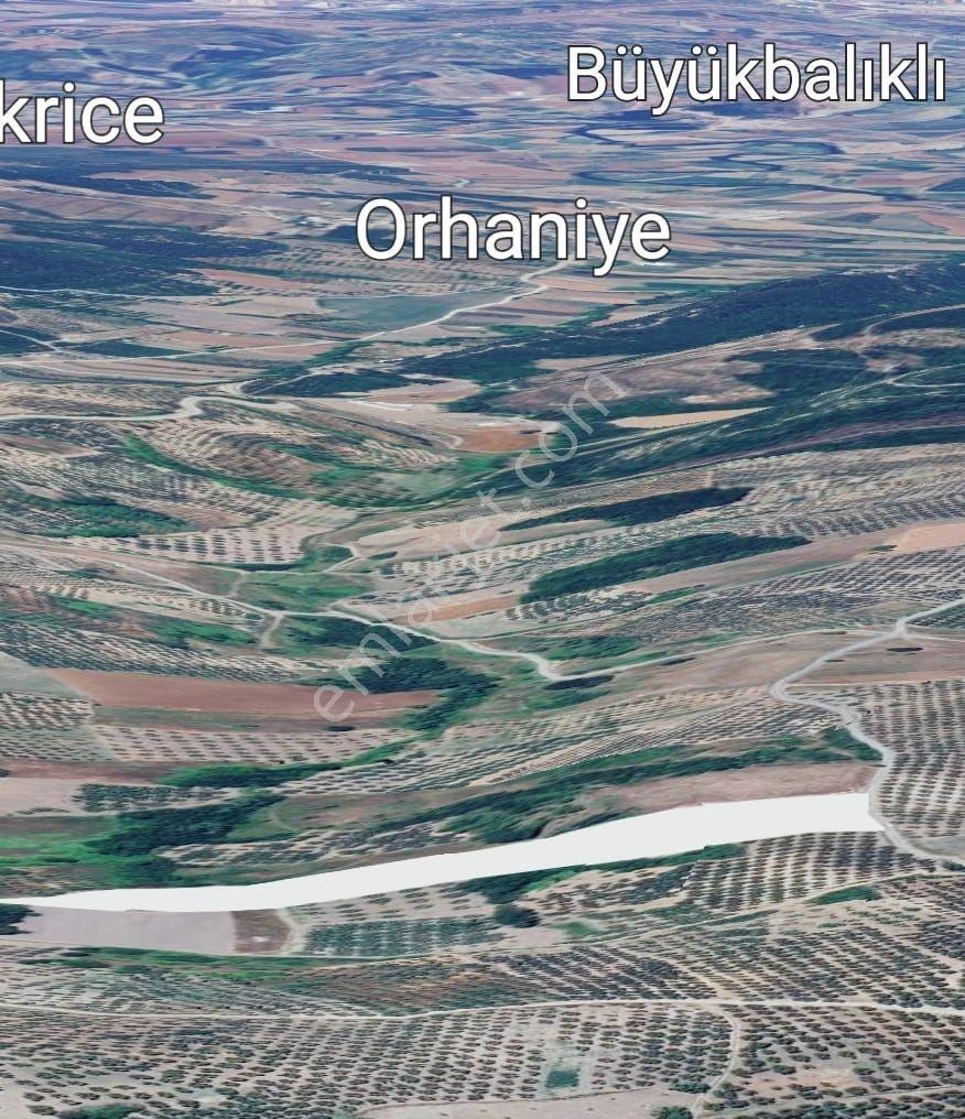 Src Emlaktan Bursa Mudanya Çınarlı Da Kurulu Düzen 200 M2 Hobi Bahçesi — fotoğraf 6