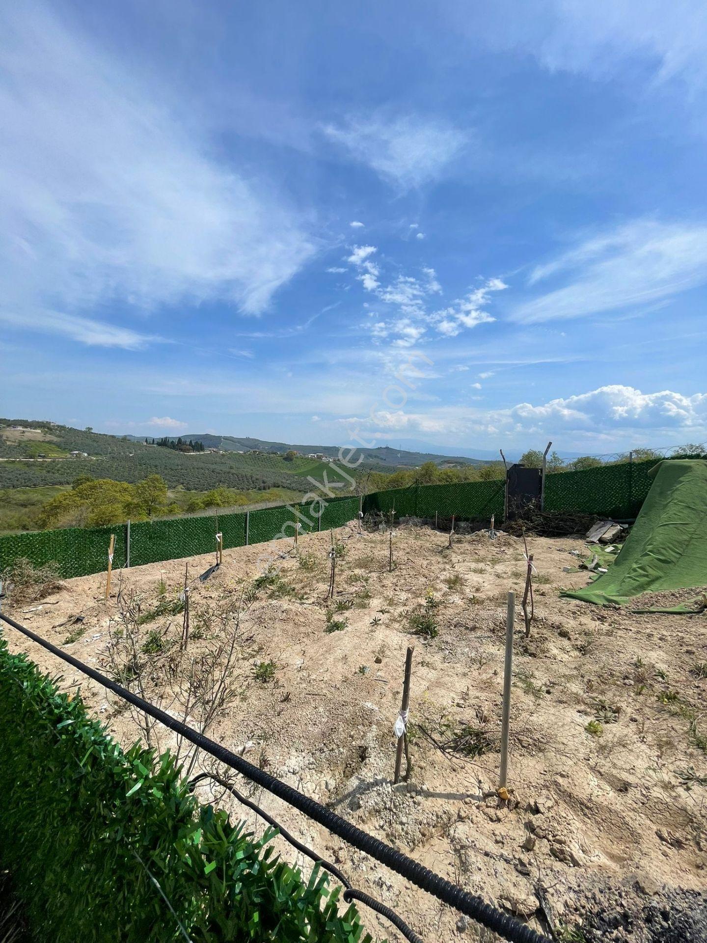 Src Emlaktan Bursa Mudanya Çınarlı Da Kurulu Düzen 200 M2 Hobi Bahçesi — fotoğraf 10