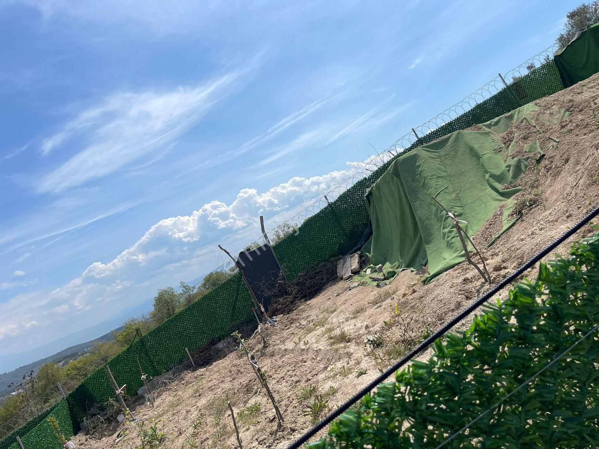 Src Emlaktan Bursa Mudanya Çınarlı Da Kurulu Düzen 200 M2 Hobi Bahçesi — fotoğraf 11