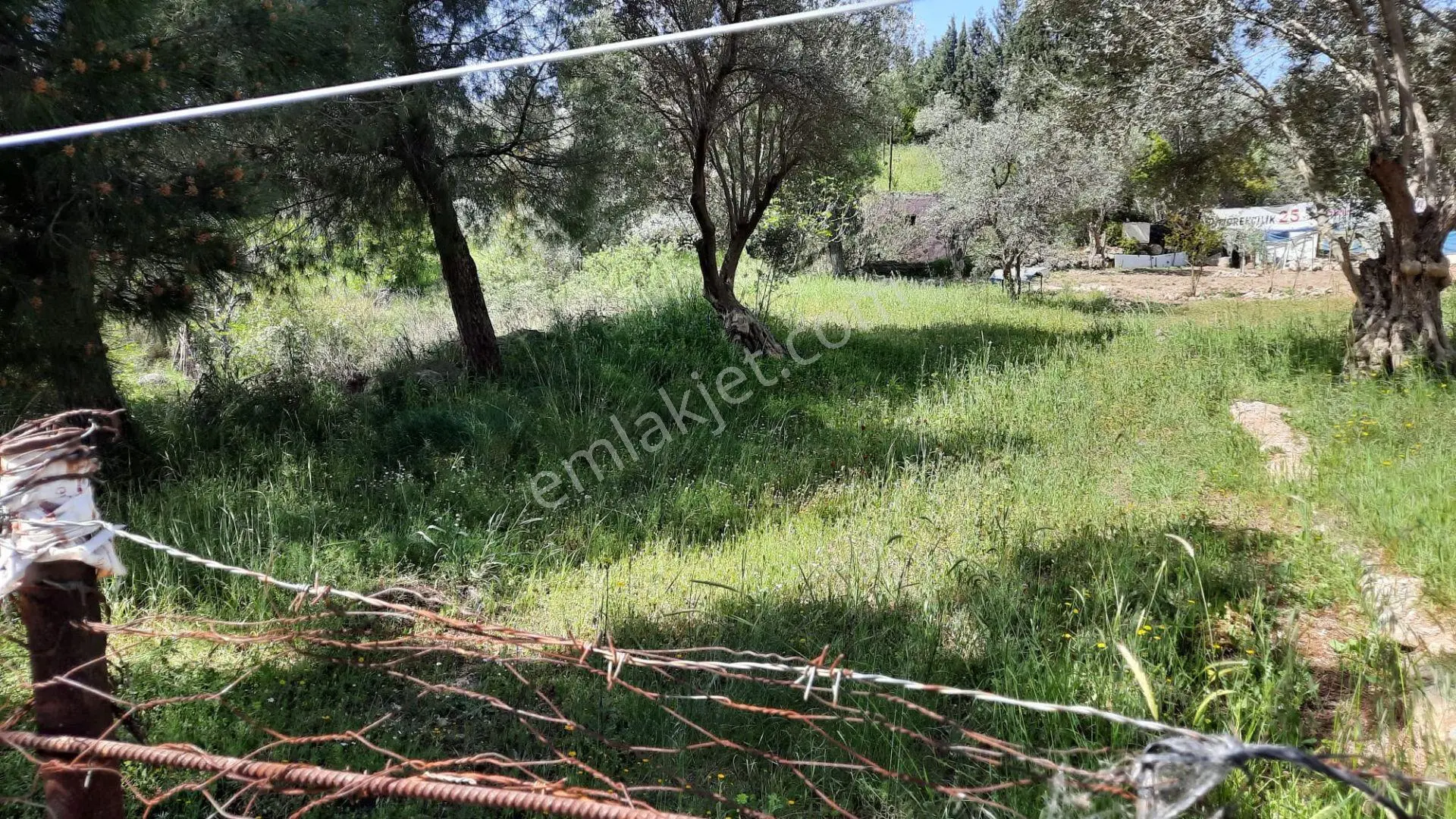 Acill Menderes Ata Mahallesinde 248m2 Tek Tapulu Etrafı Çevrili Satılık Tarla Bahçe — fotoğraf 2