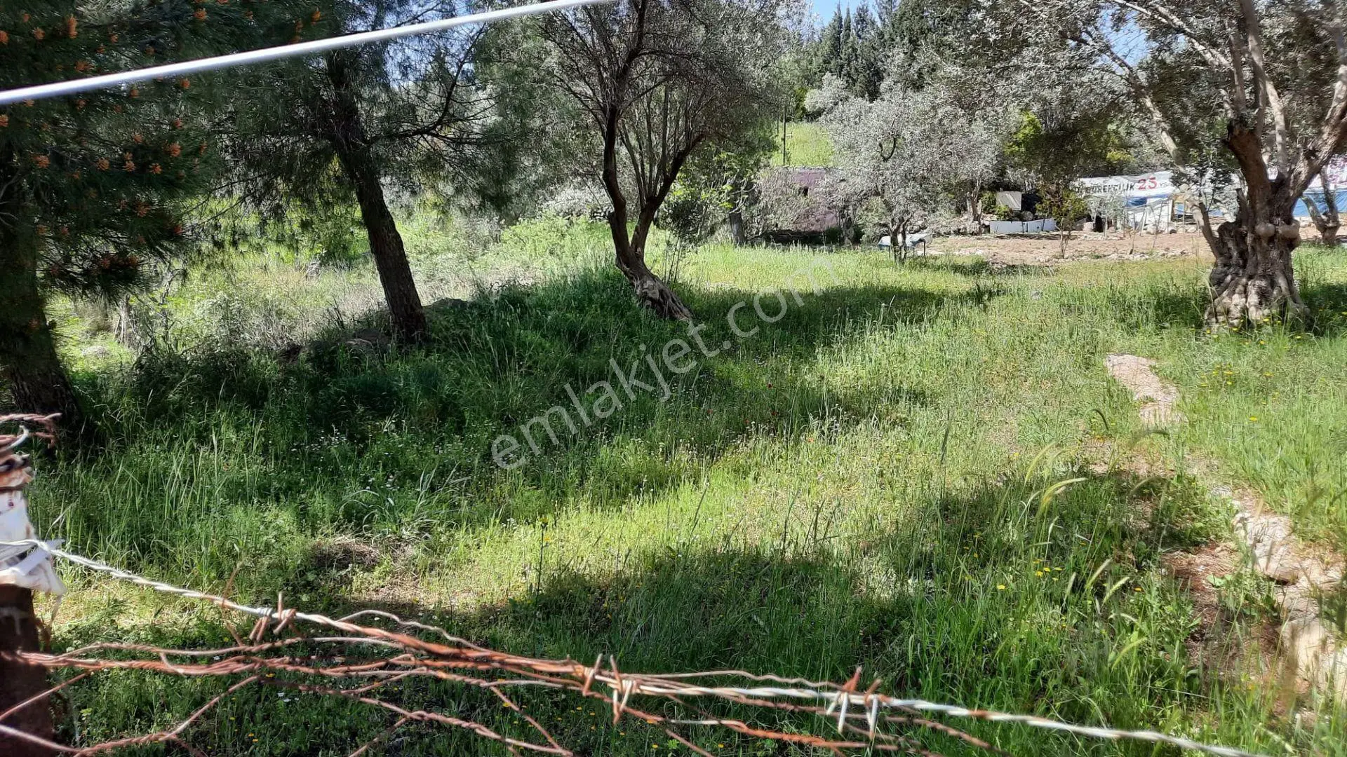 Acill Menderes Ata Mahallesinde 248m2 Tek Tapulu Etrafı Çevrili Satılık Tarla Bahçe — fotoğraf 5