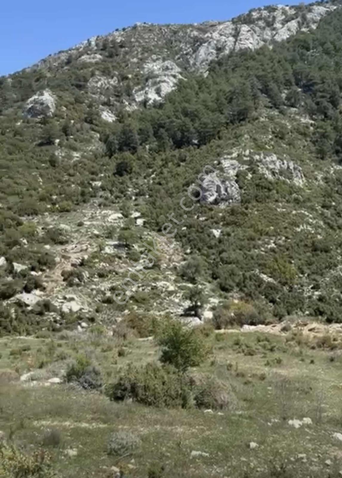 Fethiye Karaağaç Alınca 1014 Satılık Müstakil Tarla