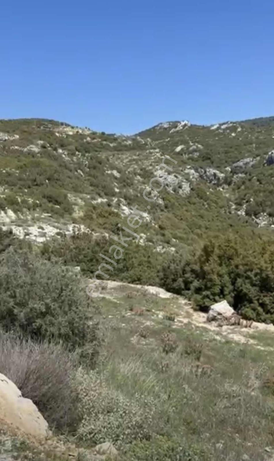 Fethiye Karaağaç Alınca 1014 Satılık Müstakil Tarla — fotoğraf 2