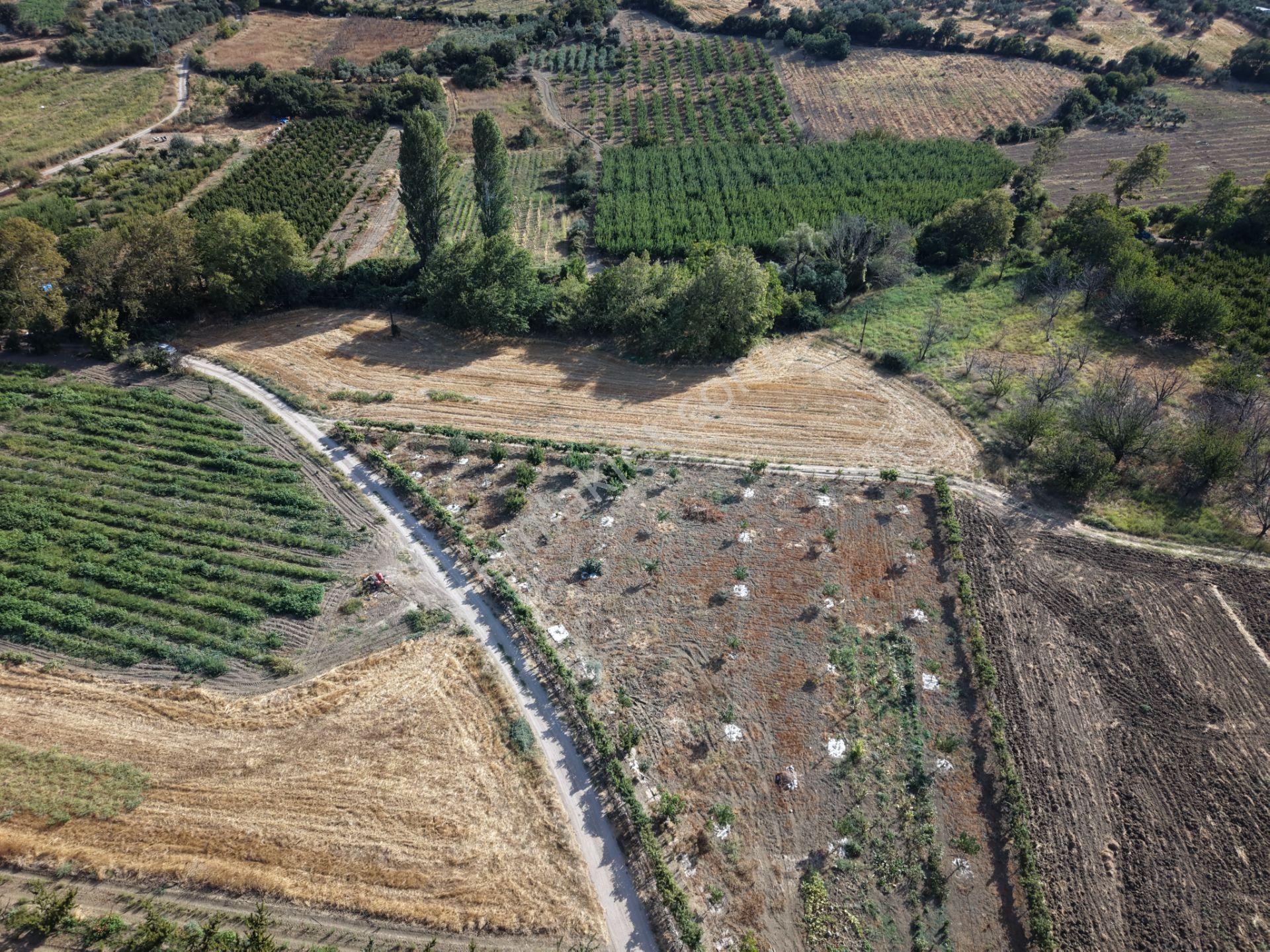 Çanakkale Merkez Musaköy'de Yatırımlık Fırsat Tarla! — fotoğraf 14