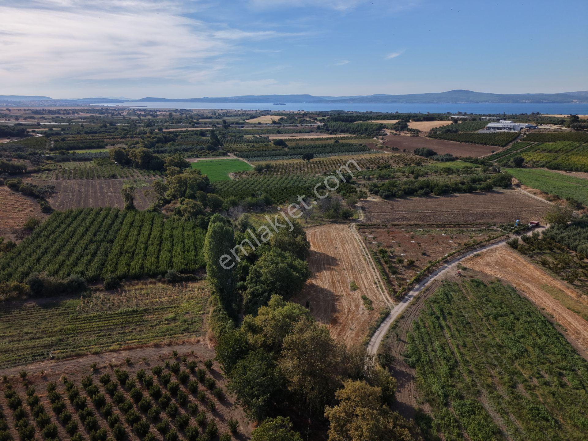 Çanakkale Merkez Musaköy'de Yatırımlık Fırsat Tarla! — fotoğraf 23
