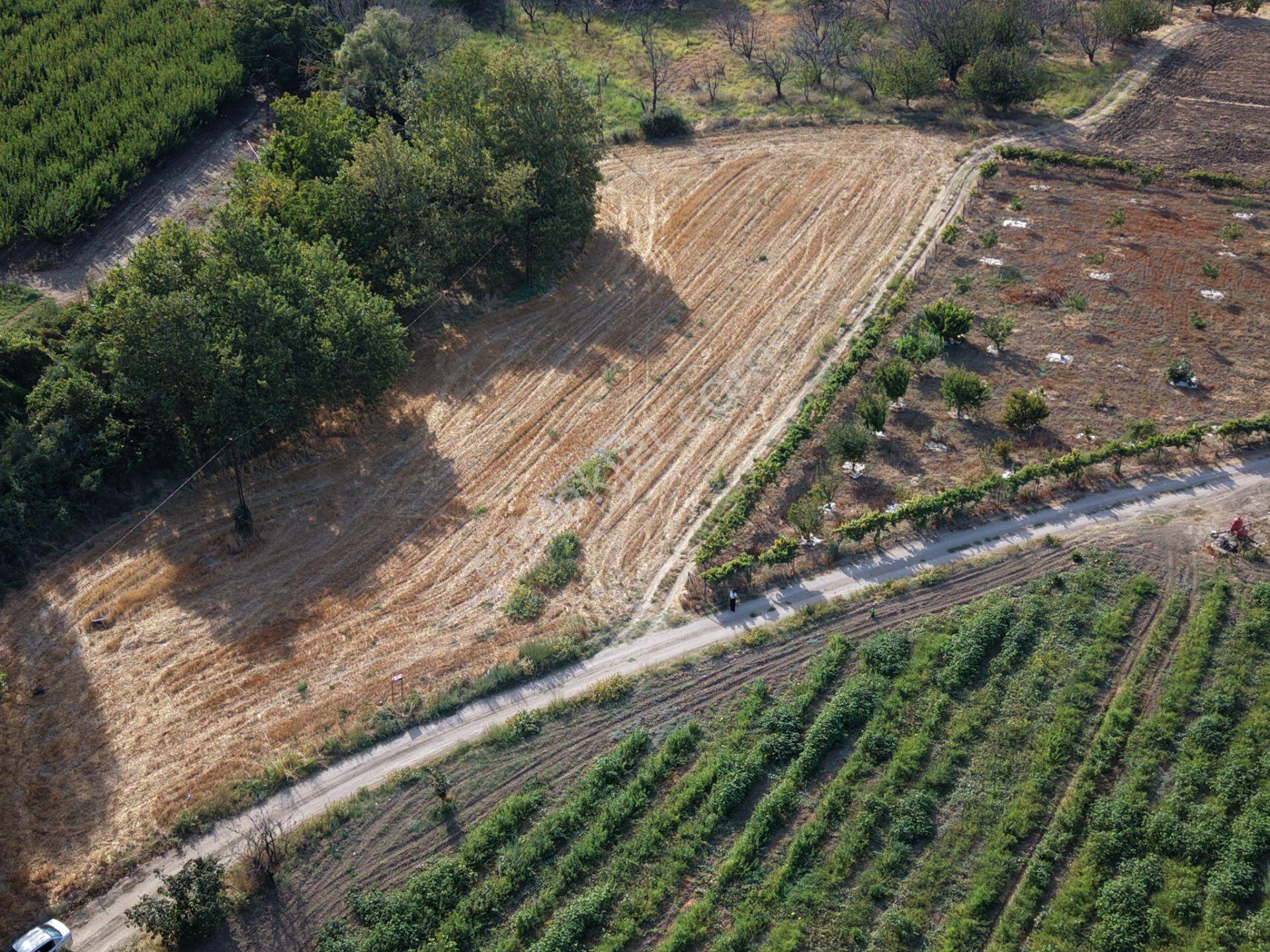 Çanakkale Merkez Musaköy'de Yatırımlık Fırsat Tarla! — fotoğraf 28