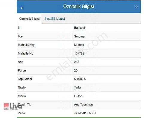 Rw Liva'dan Sındırgı Mumcu'da Satılık Tarla — fotoğraf 2