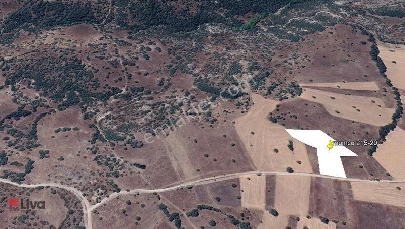 Rw Liva'dan Sındırgı Mumcu'da Satılık Tarla — fotoğraf 10