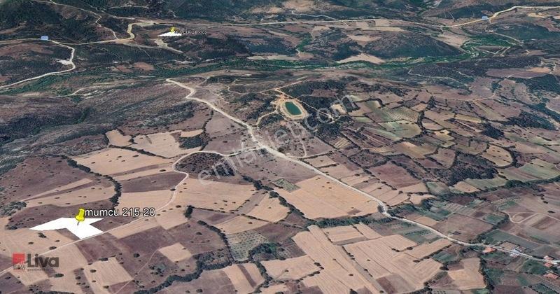 Rw Liva'dan Sındırgı Mumcu'da Satılık Tarla — fotoğraf 12