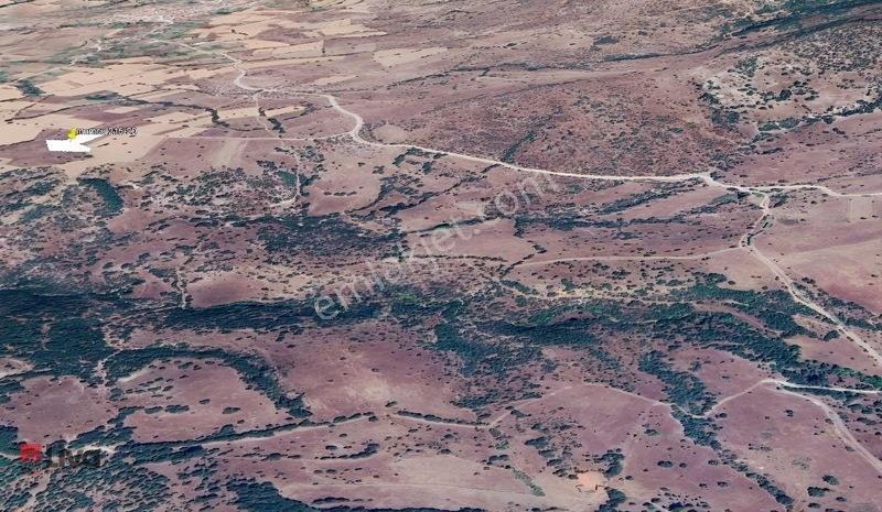 Rw Liva'dan Sındırgı Mumcu'da Satılık Tarla — fotoğraf 14